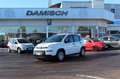 Fiat Panda 4x2 FireFly Hybrid 70 Weiß - thumbnail 2