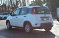 Fiat Panda 4x2 FireFly Hybrid 70 Weiß - thumbnail 7