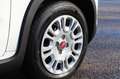 Fiat Panda 4x2 FireFly Hybrid 70 Weiß - thumbnail 8