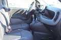 Fiat Panda 4x2 FireFly Hybrid 70 Weiß - thumbnail 9