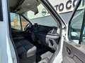 Ford Transit Bakwagen+Laadklep Meubelbak+Laaddeur Euro 6.2 2.0D Wit - thumbnail 6