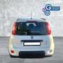 Fiat Panda Panda 1.0 FireFly S&S Hybrid City Life Bianco - thumbnail 9