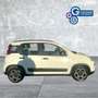 Fiat Panda Panda 1.0 FireFly S&S Hybrid City Life Bianco - thumbnail 5