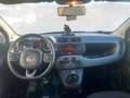 Fiat Panda Panda 1.0 FireFly S&S Hybrid City Life Bianco - thumbnail 14