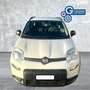 Fiat Panda Panda 1.0 FireFly S&S Hybrid City Life Bianco - thumbnail 2