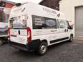 Fiat Ducato Maxi Grossr.-Kasten 35 180 L4H3 RS: 4035 Blanc - thumbnail 5