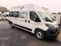 Fiat Ducato Maxi Grossr.-Kasten 35 180 L4H3 RS: 4035 Blanc - thumbnail 2