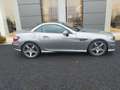 Mercedes-Benz SLK 250 250 Roadster Grigio - thumbnail 6