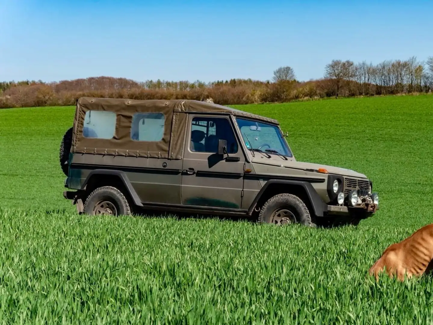 Puch G Steyr-D-Puch zelena - 1