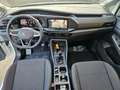 Volkswagen Caddy TDI 4Motion "AHV, App-Connect, ACC" Weiß - thumbnail 6