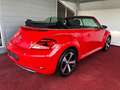 Volkswagen Beetle Sound Design/Bi-Xenon/NAVI/Soundanlage/GARANTIE Rot - thumbnail 8