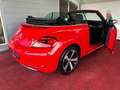 Volkswagen Beetle Sound Design/Bi-Xenon/NAVI/Soundanlage/GARANTIE Rot - thumbnail 15