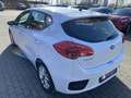 Kia Ceed / cee'd 1.4 ED7 EMOTION incl. Winterräder Klima Weiß - thumbnail 5