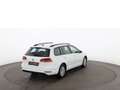 Volkswagen Golf Variant Golf VII Variant 1.6 TDI Trendline KLIMA PDC Weiß - thumbnail 3