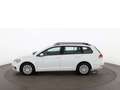 Volkswagen Golf Variant Golf VII Variant 1.6 TDI Trendline KLIMA PDC Weiß - thumbnail 7