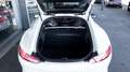 Mercedes-Benz AMG GT EDITION 1*NEUWERTIG!*CARBON*NUR 34 TKM* Weiß - thumbnail 10