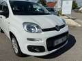 Fiat Panda +Garantie Klima Einparkhilfe TÜV+Service NEU Blanc - thumbnail 9