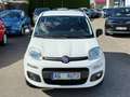 Fiat Panda +Garantie Klima Einparkhilfe TÜV+Service NEU Blanc - thumbnail 2