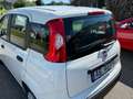 Fiat Panda +Garantie Klima Einparkhilfe TÜV+Service NEU Blanc - thumbnail 12