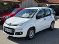 Fiat Panda +Garantie Klima Einparkhilfe TÜV+Service NEU Blanc - thumbnail 3