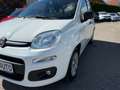 Fiat Panda +Garantie Klima Einparkhilfe TÜV+Service NEU Blanc - thumbnail 10
