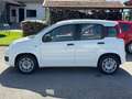 Fiat Panda +Garantie Klima Einparkhilfe TÜV+Service NEU Blanc - thumbnail 4