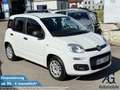 Fiat Panda +Garantie Klima Einparkhilfe TÜV+Service NEU Blanc - thumbnail 1