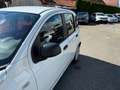 Fiat Panda +Garantie Klima Einparkhilfe TÜV+Service NEU Blanc - thumbnail 11