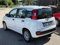 Fiat Panda +Garantie Klima Einparkhilfe TÜV+Service NEU Blanc - thumbnail 5