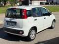 Fiat Panda +Garantie Klima Einparkhilfe TÜV+Service NEU Blanc - thumbnail 7