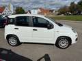 Fiat Panda +Garantie Klima Einparkhilfe TÜV+Service NEU Blanc - thumbnail 8