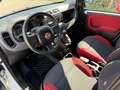 Fiat Panda +Garantie Klima Einparkhilfe TÜV+Service NEU Blanc - thumbnail 13