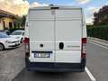 Fiat Ducato 30 2.0 MJT PM-TM Furgone Bianco - thumbnail 8