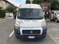 Fiat Ducato 30 2.0 MJT PM-TM Furgone Bianco - thumbnail 15