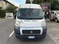 Fiat Ducato 30 2.0 MJT PM-TM Furgone Bianco - thumbnail 5