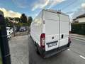 Fiat Ducato 30 2.0 MJT PM-TM Furgone Bianco - thumbnail 7