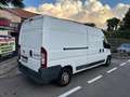 Fiat Ducato 30 2.0 MJT PM-TM Furgone Bianco - thumbnail 6