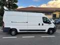 Fiat Ducato 30 2.0 MJT PM-TM Furgone Bianco - thumbnail 2