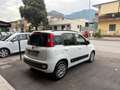 Fiat Panda Panda 1.3 MJT 95 CV S&S Lounge Weiß - thumbnail 4