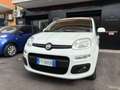 Fiat Panda Panda 1.3 MJT 95 CV S&S Lounge Weiß - thumbnail 9
