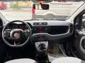 Fiat Panda Panda 1.3 MJT 95 CV S&S Lounge Weiß - thumbnail 10