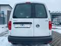 Volkswagen Caddy 1,4 TGI CNG/Navi/SHZ/Klima/PDC*Tempomat Blanc - thumbnail 4