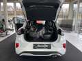 Ford Puma 1,0 EcoBoost Hybrid ST-Line Blanco - thumbnail 10