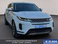 Land Rover Range Rover Evoque D150 Mild-Hybrid SE Weiß - thumbnail 3