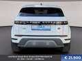 Land Rover Range Rover Evoque D150 Mild-Hybrid SE Weiß - thumbnail 5