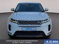 Land Rover Range Rover Evoque D150 Mild-Hybrid SE Weiß - thumbnail 2