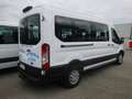 Ford Transit Variobus 2,0 EcoBlue L3H2 350 Trend Blanc - thumbnail 3