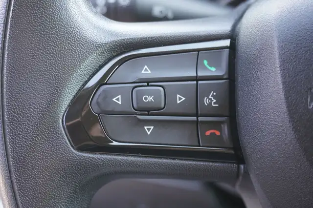 Fiat Ducato view 12