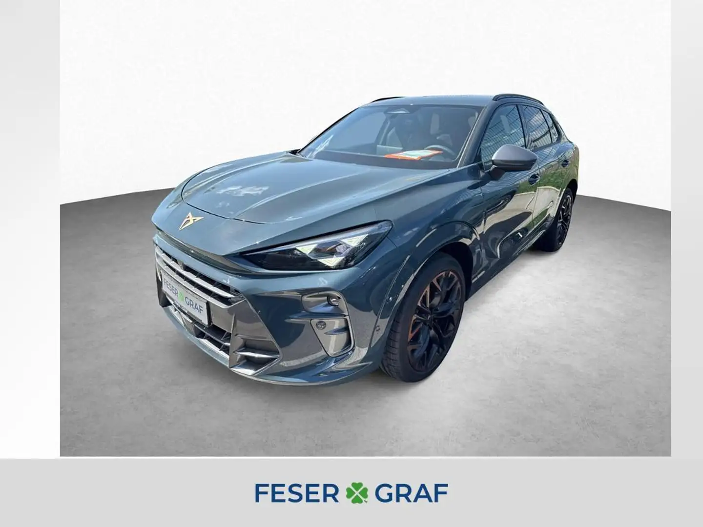 CUPRA Terramar 2.0 TSI 195 kW 4Drive VZ/HD-Matrix/Inte Blauw - 1