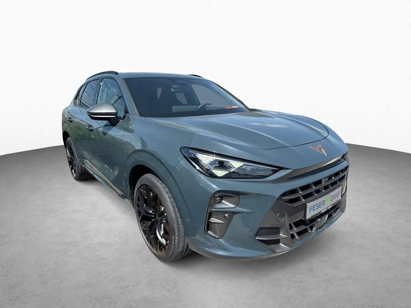 CUPRA Terramar 2.0 TSI 195 kW 4Drive VZ/HD-Matrix/Inte Blauw - 2